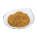 Home ginkgo biloba extract powder 24 flavones bulk supplier